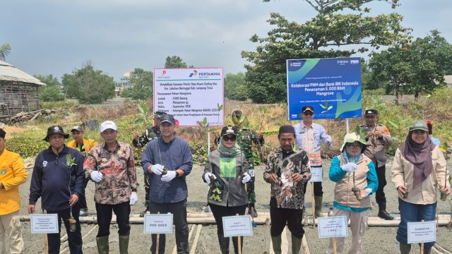 PHE OSES bersama Pemkab Lamtim perkuat kolaborasi pelestarian ekosistem Mangrove pesisir